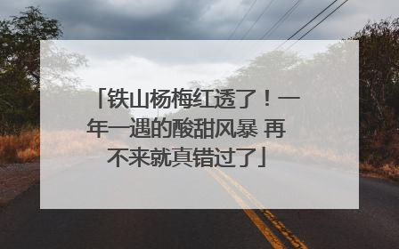 铁山杨梅红透了！一年一遇的酸甜风暴 再不来就真错过了