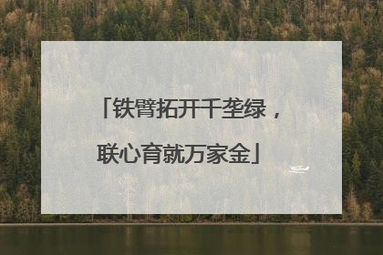 铁臂拓开千垄绿，联心育就万家金