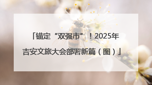 锚定“双强市”！2025年吉安文旅大会部署新篇（图）