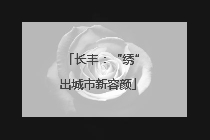 长丰：“绣”出城市新容颜