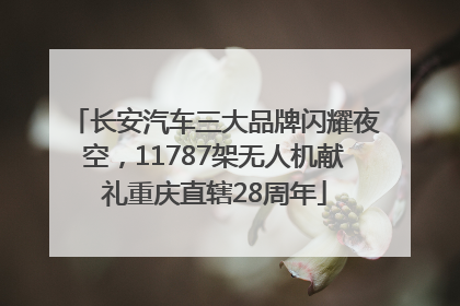 长安汽车三大品牌闪耀夜空，11787架无人机献礼重庆直辖28周年