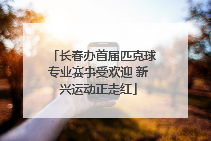 长春办首届匹克球专业赛事受欢迎 新兴运动正走红