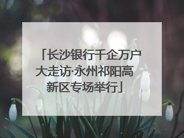 长沙银行千企万户大走访·永州祁阳高新区专场举行