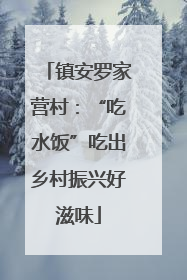 镇安罗家营村：“吃水饭”吃出乡村振兴好滋味