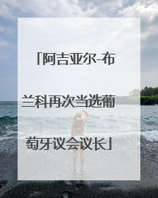 阿吉亚尔-布兰科再次当选葡萄牙议会议长