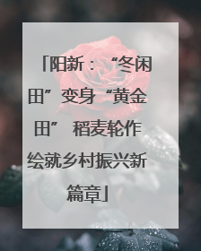 阳新：“冬闲田”变身“黄金田” 稻麦轮作绘就乡村振兴新篇章