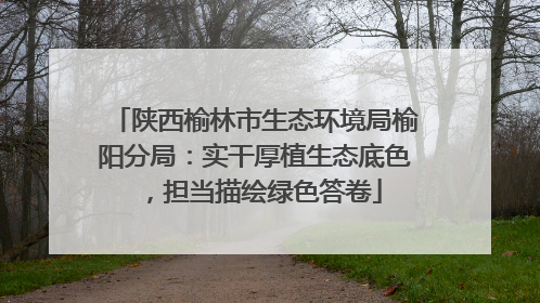 陕西榆林市生态环境局榆阳分局：实干厚植生态底色，担当描绘绿色答卷