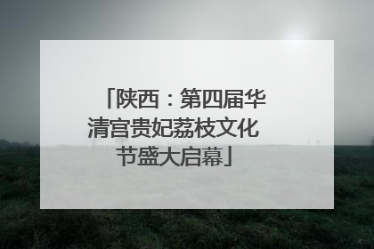 陕西：第四届华清宫贵妃荔枝文化节盛大启幕