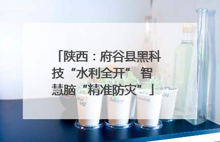 陕西：府谷县黑科技“水利全开” 智慧脑“精准防灾”