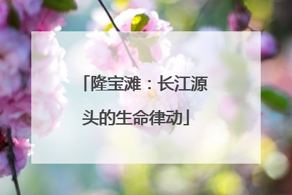 隆宝滩：长江源头的生命律动