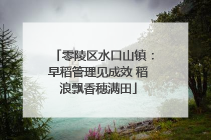 零陵区水口山镇：早稻管理见成效 稻浪飘香穗满田