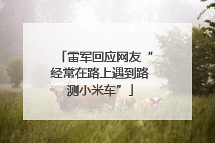 雷军回应网友“经常在路上遇到路测小米车”