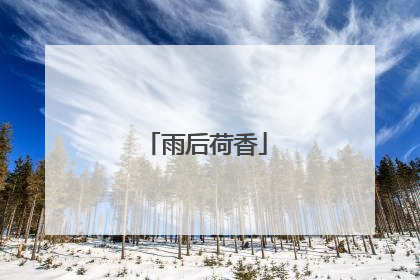 雨后荷香