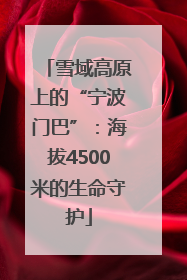 雪域高原上的“宁波门巴”：海拔4500米的生命守护