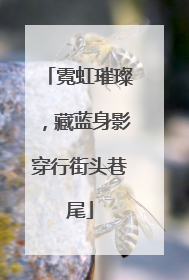 霓虹璀璨，藏蓝身影穿行街头巷尾