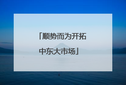 顺势而为开拓中东大市场