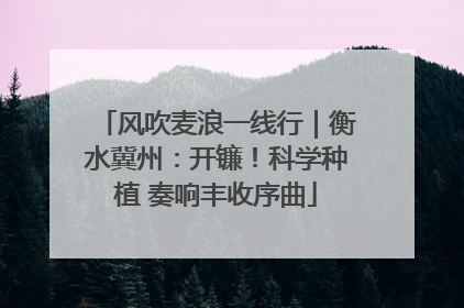 风吹麦浪一线行｜衡水冀州：开镰！科学种植 奏响丰收序曲