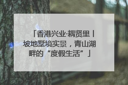 香港兴业·耦贤里丨坡地墅境实景，青山湖畔的“度假生活”