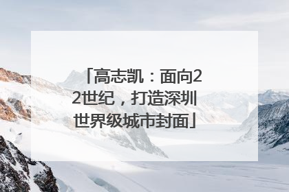 高志凯：面向22世纪，打造深圳世界级城市封面