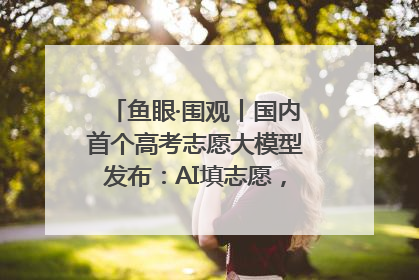 鱼眼·围观丨国内首个高考志愿大模型发布：AI填志愿，靠不靠谱？