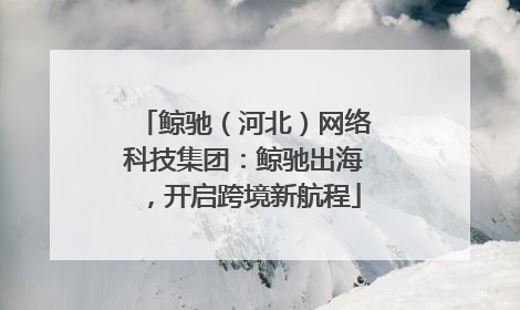 鲸驰（河北）网络科技集团：鲸驰出海，开启跨境新航程