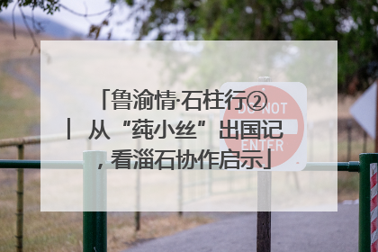 鲁渝情·石柱行② ︳从“莼小丝”出国记，看淄石协作启示