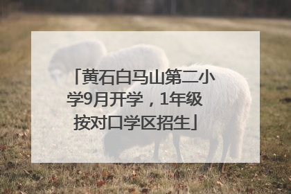 黄石白马山第二小学9月开学，1年级按对口学区招生