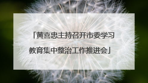 黄喜忠主持召开市委学习教育集中整治工作推进会