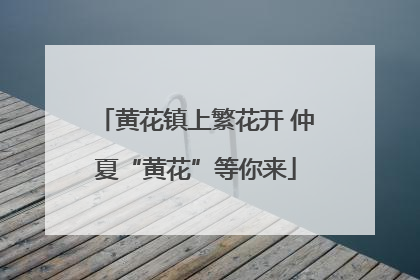 黄花镇上繁花开 仲夏“黄花”等你来