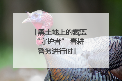 黑土地上的藏蓝“守护者” 春耕警务进行时