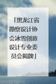 黑龙江省勘察设计协会冰雪创意设计专业委员会揭牌