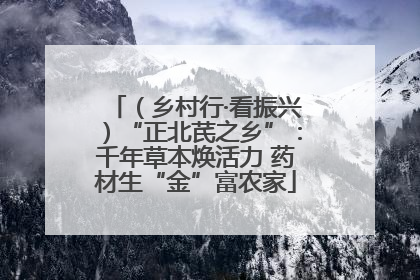 （乡村行·看振兴）“正北芪之乡”：千年草本焕活力 药材生“金”富农家
