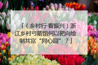 （乡村行·看振兴）浙江乡村弓箭馆何以靶向绘制共富“同心圆”？