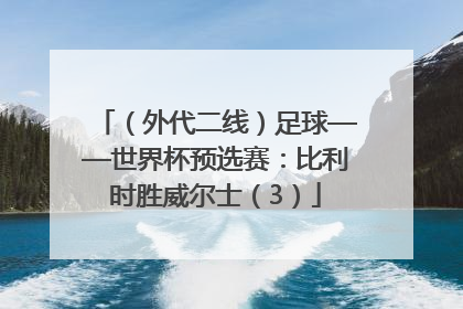 （外代二线）足球——世界杯预选赛：比利时胜威尔士（3）