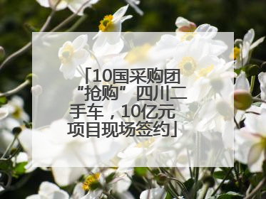 10国采购团“抢购”四川二手车，10亿元项目现场签约