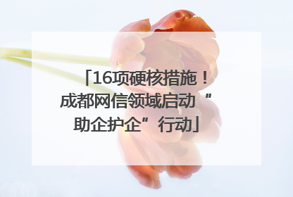 16项硬核措施！成都网信领域启动“助企护企”行动