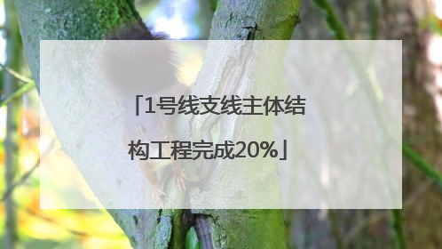 1号线支线主体结构工程完成20%