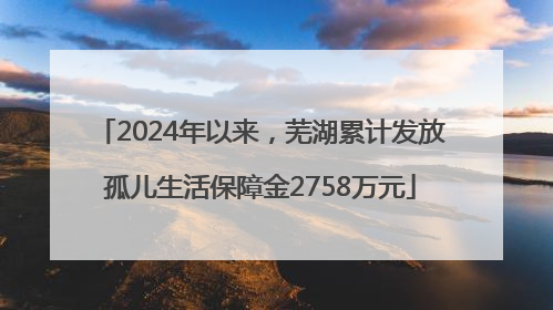 2024年以来，芜湖累计发放孤儿生活保障金2758万元