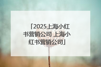 2025上海小红书营销公司 上海小红书营销公司