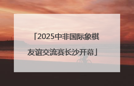 2025中非国际象棋友谊交流赛长沙开幕