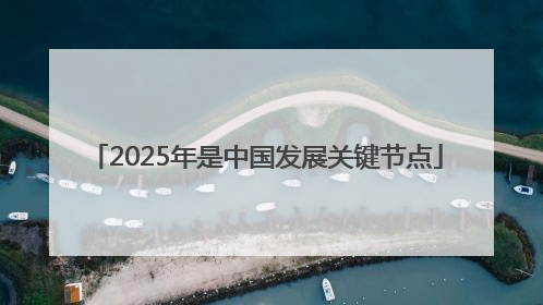 2025年是中国发展关键节点