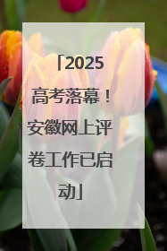 2025高考落幕！安徽网上评卷工作已启动
