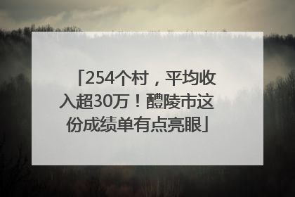 254个村，平均收入超30万！醴陵市这份成绩单有点亮眼