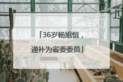 36岁杨旭恒，递补为省委委员