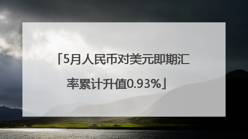 5月人民币对美元即期汇率累计升值0.93%