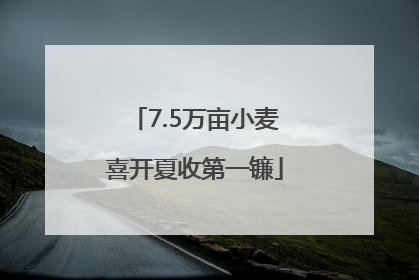 7.5万亩小麦喜开夏收第一镰
