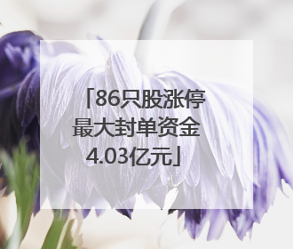 86只股涨停 最大封单资金4.03亿元