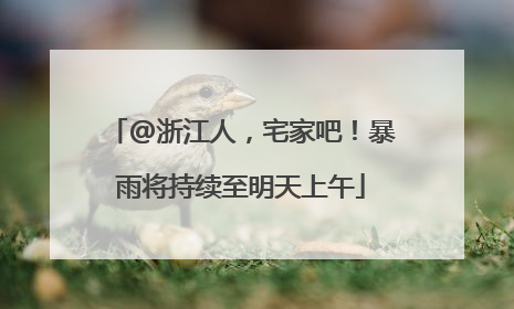 @浙江人，宅家吧！暴雨将持续至明天上午
