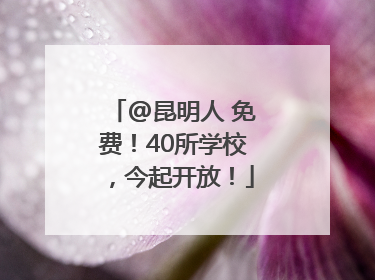 @昆明人 免费！40所学校，今起开放！