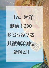 AI+海洋测绘！200多名专家学者共谋海洋测绘新图景